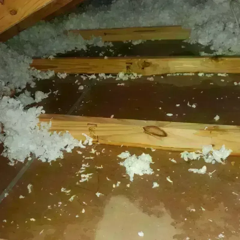 Attic Water Damage in Mooreland, OK