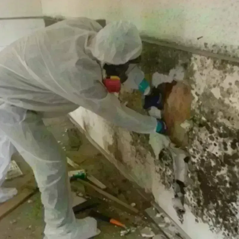 Mold Remediation and Removal in Mooreland, OK