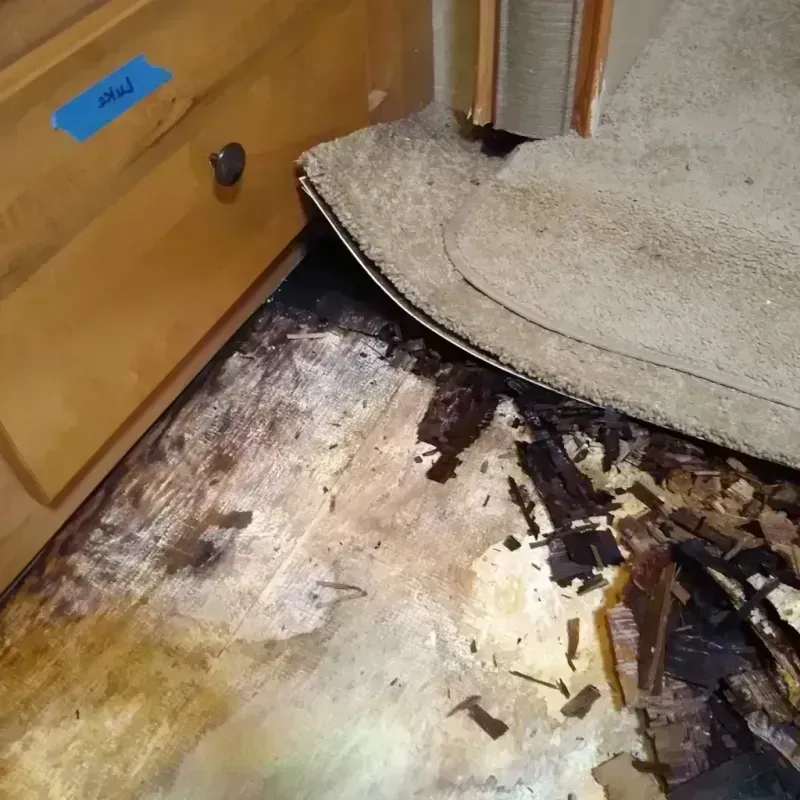 Wood Floor Water Damage in Mooreland, OK